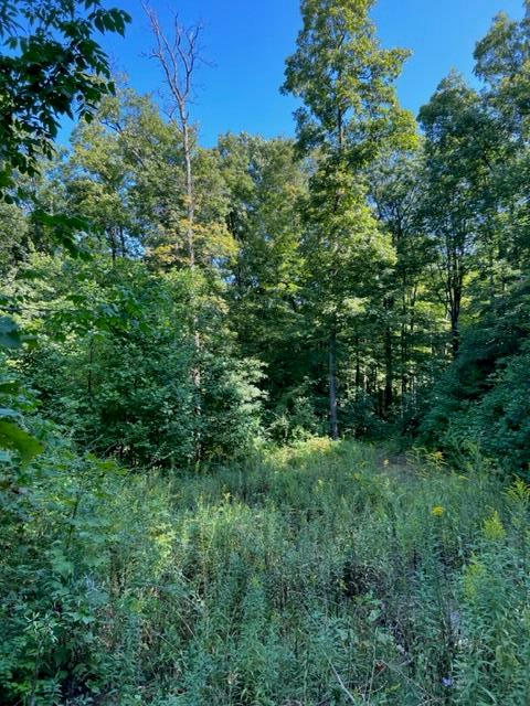 0 TBD EAST RIVER / SCENIC DRIVE, BLUEFIELD, WV 24701, photo 1 of 4
