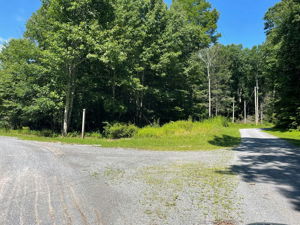 3 LOT 31, CLEAR FORK, VA 24314, photo 1 of 12