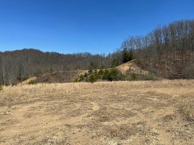 00 ROLLING HILLS, PINEVILLE, WV 24874, photo 1 of 23